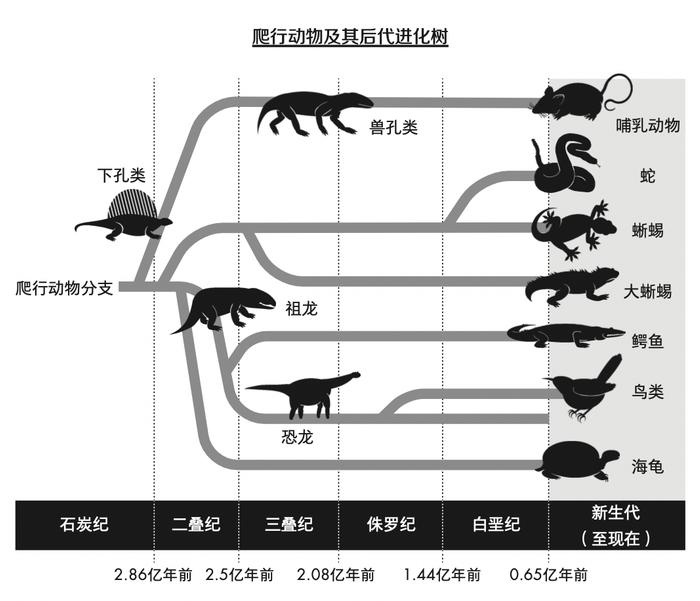 你最爱吃的生蚝，居然拯救过人类？