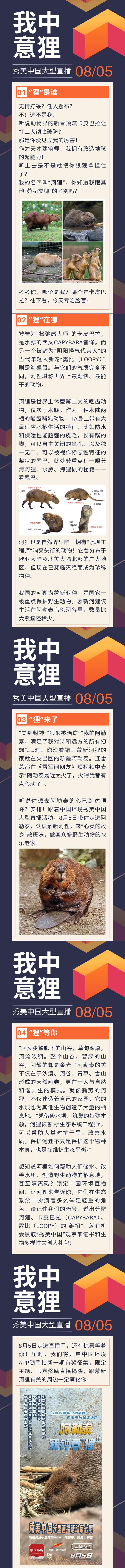 直播预告|不是卡皮巴拉，是我中意“狸”！