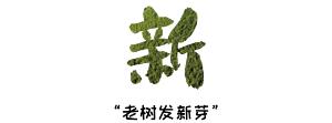 高科技+新模式！在东方，海南黄花梨这样“逆袭”→