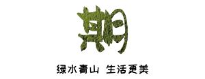 高科技+新模式！在东方，海南黄花梨这样“逆袭”→