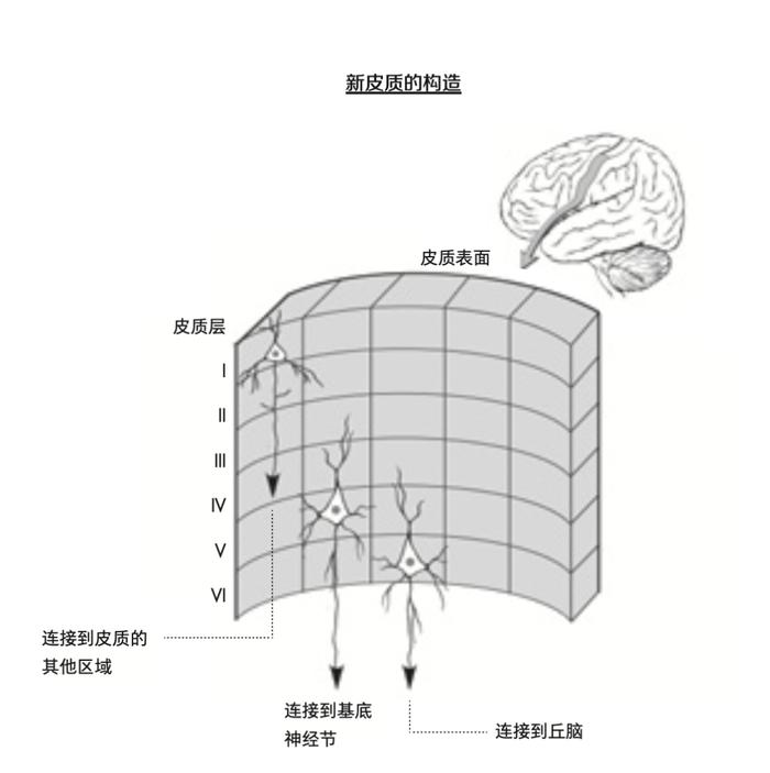 你最爱吃的生蚝，居然拯救过人类？