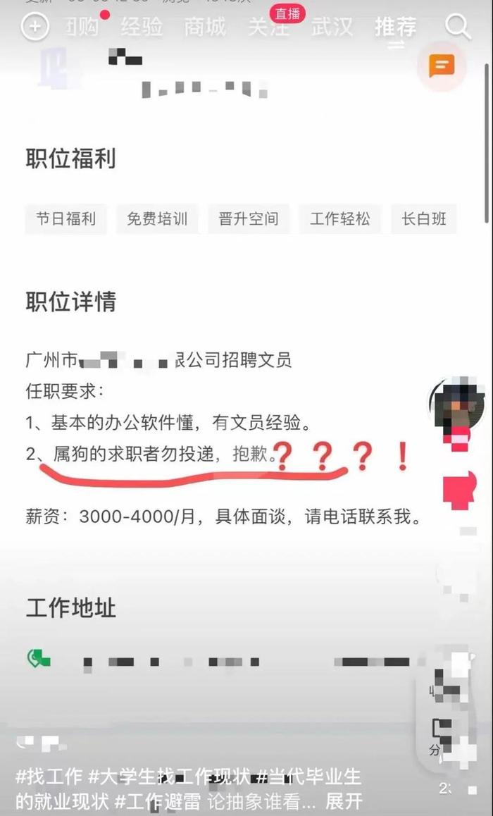 “属狗的不招聘”，网友懵了！广州一公司回应