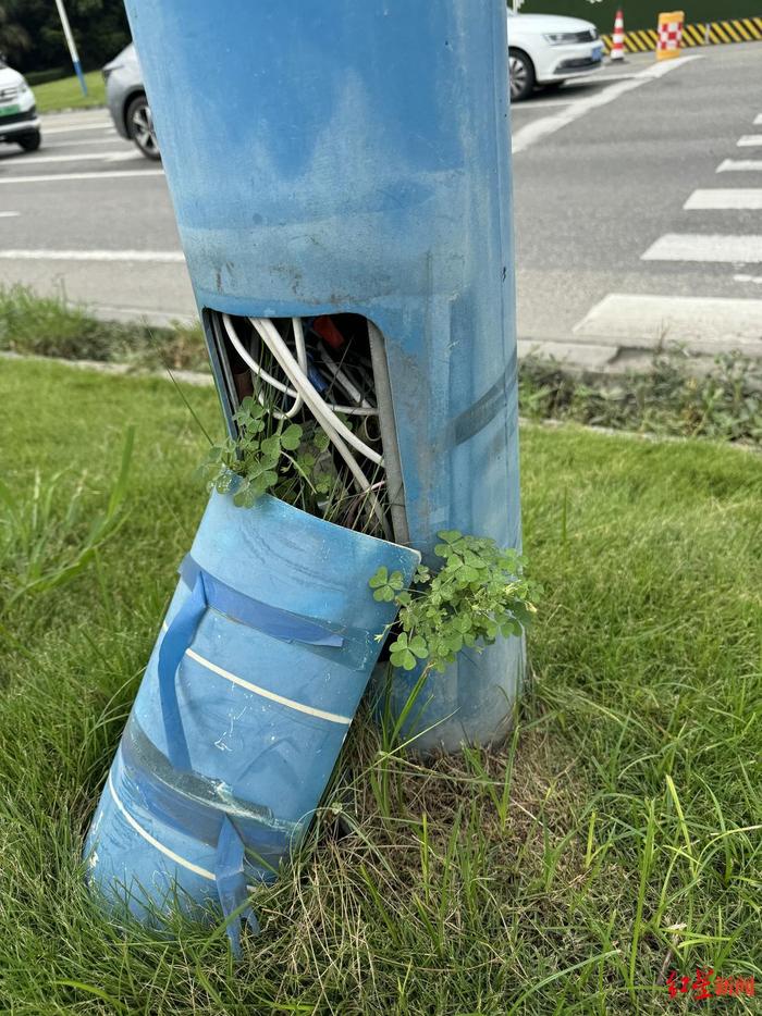 “漏电的路灯杆”：暴雨季多地发生路人触电事故，该如何预防？