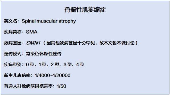 国际SMA关爱日 | 狙击婴幼儿“头号基因病杀手”，基因检测更精准