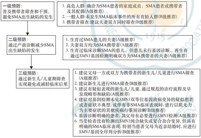 国际SMA关爱日 | 狙击婴幼儿“头号基因病杀手”，基因检测更精准