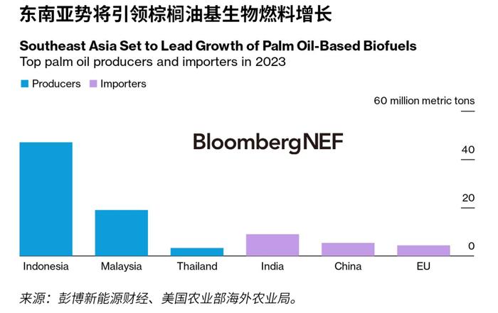 棕榈油生物燃料可在不同的市场政策下扩大规模