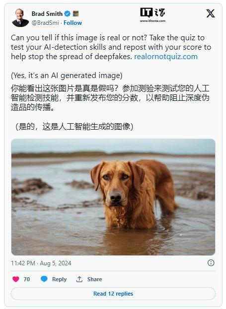 你能分辨 AI 生成的图片和真实照片吗？微软总裁挑战你的眼力