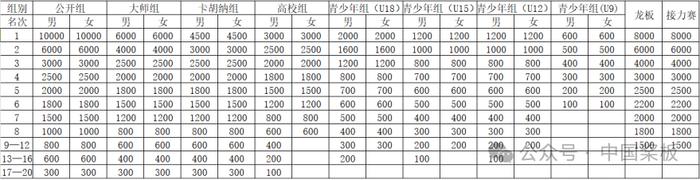 体育总局水上中心关于公布2024年中国桨板超级联赛邵阳站竞赛规程的通知