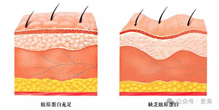 南韩财阀也爱在国家队里选老婆？她没拿金牌照样嫁豪门！