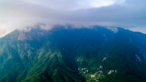 “罗浮山艺术康养社区”御泉花园, 已有多位美术名家入驻