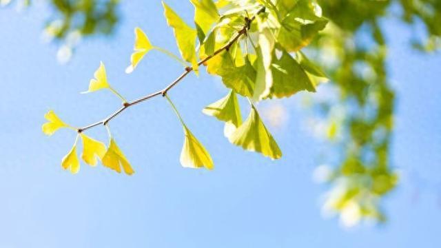 中医把一年分为五个季节，从立秋开始的这个季节湿气最重，养生重在这五个字