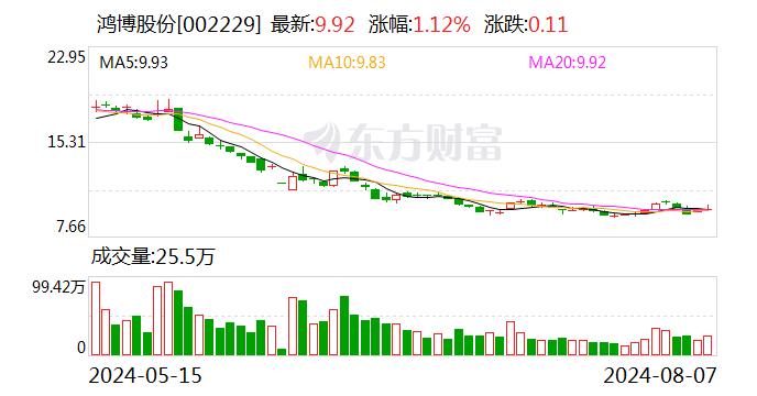 预告盈利却亏损超5000万！鸿博股份及董事长、时任总经理被通报批评