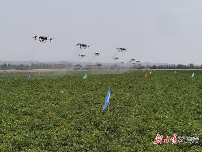 从“谁来种地”到“把地种出彩”——甘肃省农业生产托管社会化服务驶入快车道