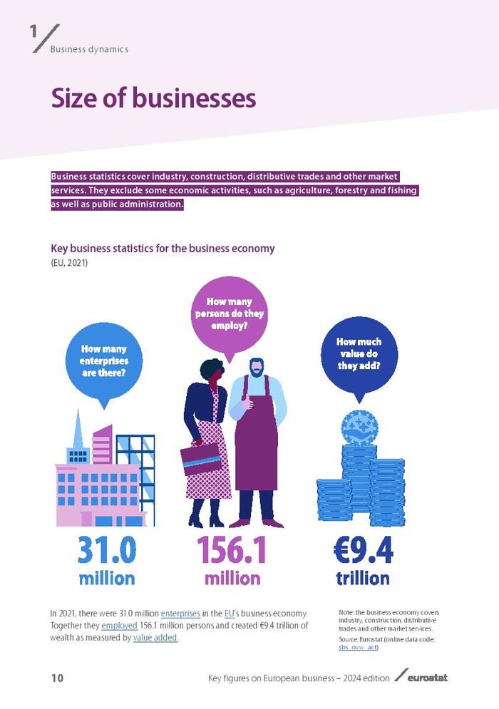 欧盟统计局：2024年欧盟商业报告