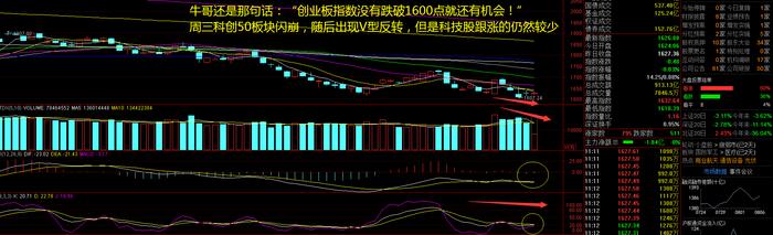 外围金融市场一天ICU一天KTV！A股指数低开高走，还能涨吗