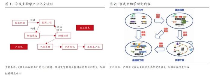 【西部策略&化工】策略对话化工：合成生物步入“1-n”新阶段，看好生物基材料