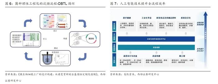 【西部策略&化工】策略对话化工：合成生物步入“1-n”新阶段，看好生物基材料