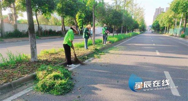 组图 | 高温下的坚守 汗水凝聚芙蓉力量