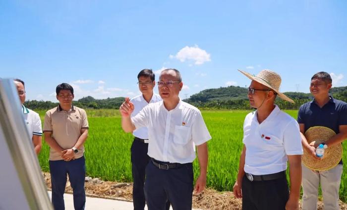 海南省定安县委书记刘峰松调研水务项目和高标准农田建设等情况