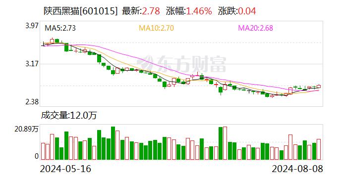 陕西黑猫：实际控制人李保平计划增持公司股票1亿元