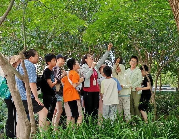 鸟语蝉鸣，探秘夏日黄浦的生物多样性！