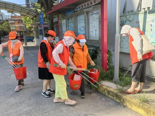 不惧高温“烤”验，宝山这个镇开展垃圾分类和环境整治行动