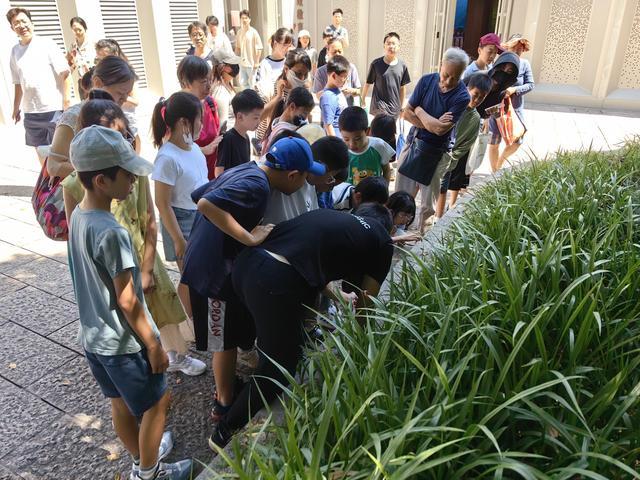 鸟语蝉鸣，探秘夏日黄浦的生物多样性！