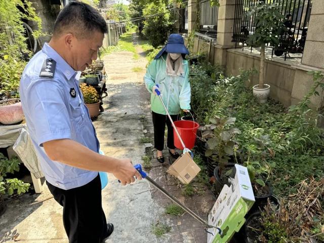 不惧高温“烤”验，宝山这个镇开展垃圾分类和环境整治行动