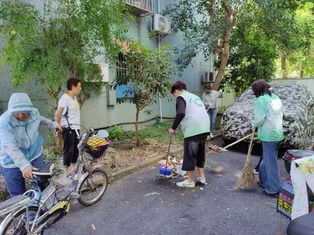 不惧高温“烤”验，宝山这个镇开展垃圾分类和环境整治行动