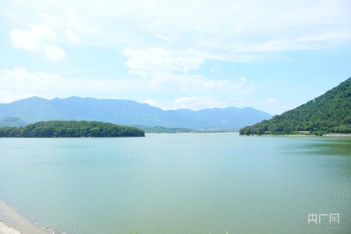 锚定现代化 改革再深化 | 一笔土地流转“减肥断药”背后的生态账