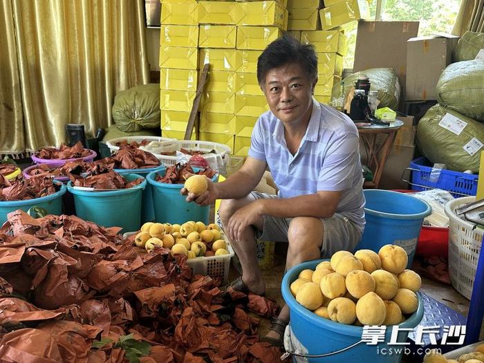 湘江新区多种水果“甜蜜来袭”！甜秋味道，等你品尝｜“‘水果自由’还有多远”②