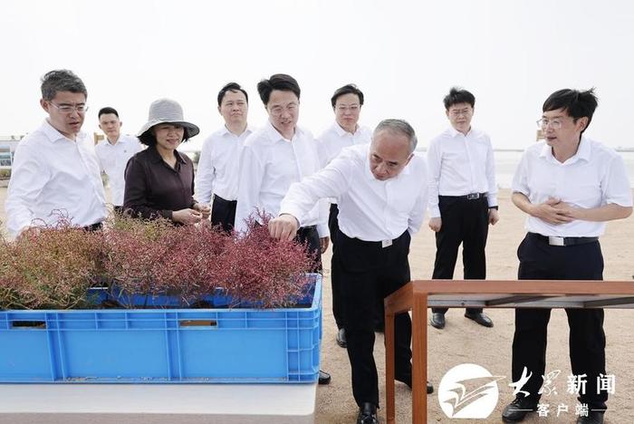 林武在调研黄河流域生态保护和高质量发展时强调 加强生态保护 保障黄河安澜 为落实黄河重大国家战略作出更大贡献