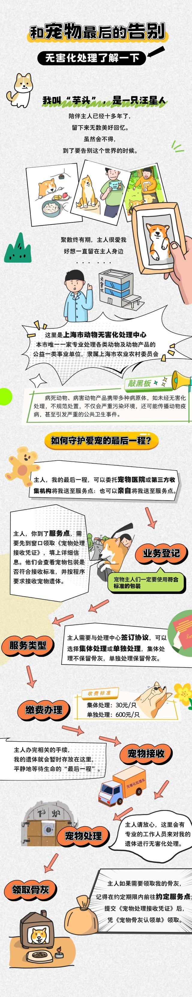 动物无害化处理：守护爱宠的最后一程