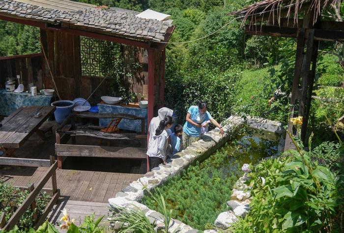 四季中国｜青山当户 白云过庭：“华中屋脊”上的夏日生意经