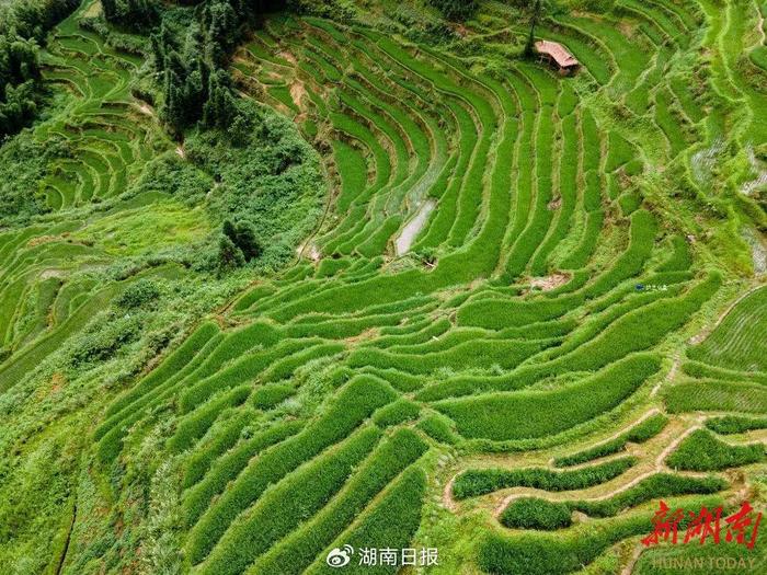 娄底最新“避暑地图”，带你寻觅身边的清凉！