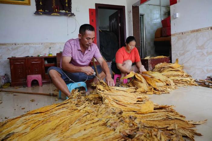 湘妹子罗诗芳巴黎奥运举重夺金！父亲：她从小就是同龄人“惹不起”的小孩