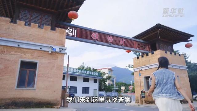 文化中国行丨“洋网红”体验诗意田园生活