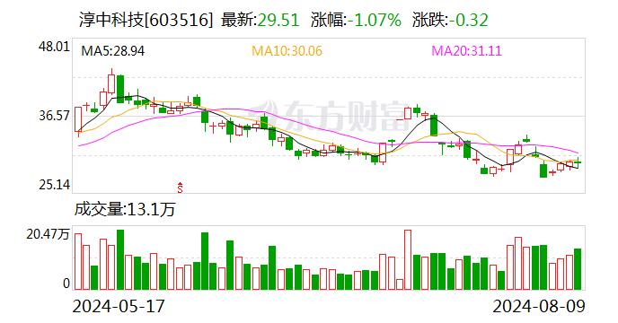 开源证券给予淳中科技买入评级 公司信息更新报告：AI收入实现突破 巨头合作值得高度期待