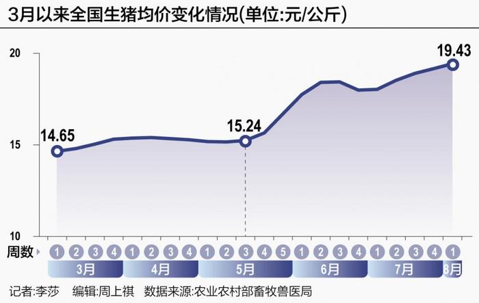 生猪养殖恢复正常盈利 8月猪价或冲年内最高点