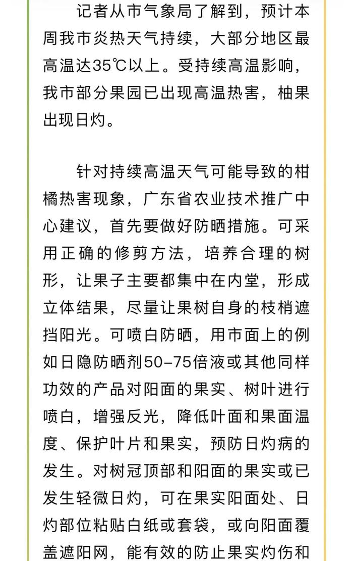 我市炎热天气持续，柑橘日灼如何防范？@梅州果农，指南在这→