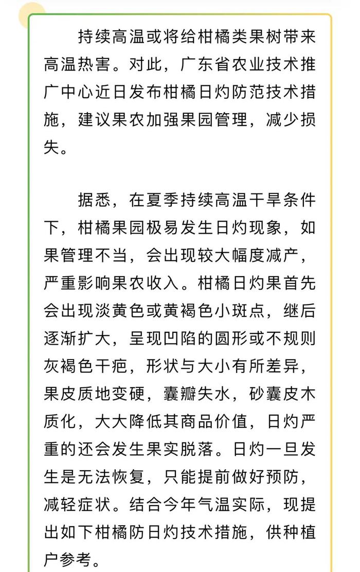 我市炎热天气持续，柑橘日灼如何防范？@梅州果农，指南在这→