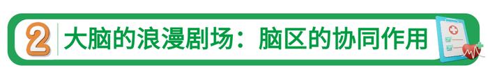 爱在七夕 | 大脑是如何让我们爱上一个人的？