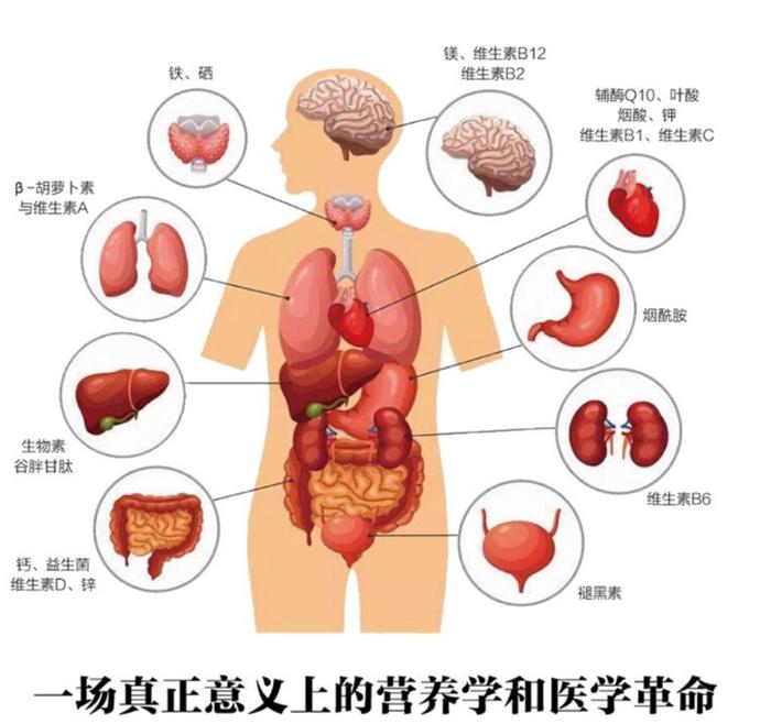 警惕“药物盗匪”偷走你的营养