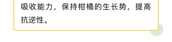 我市炎热天气持续，柑橘日灼如何防范？@梅州果农，指南在这→