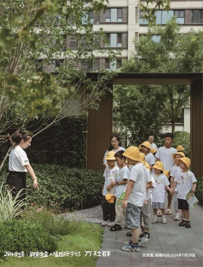 社区变身多彩“植物园”  “甜蜜课堂”让孩子收获趣乐童年