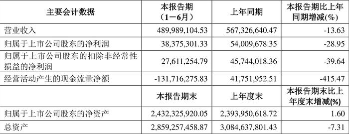 电科芯片：2024年上半年净利润3837.53万元 同比下降28.95%