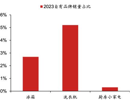 小家电行业｜品牌出海进程不一，新兴品类占优