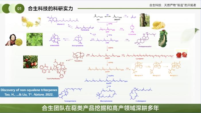 合生科技刘天罡：圆柚酮和红没药醇的产业化