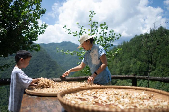 四季中国｜青山当户 白云过庭：“华中屋脊”上的夏日生意经