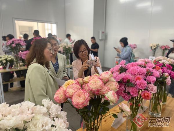 【云视角】七夕催热鲜花市场 云南“鲜花经济”何以怒放？